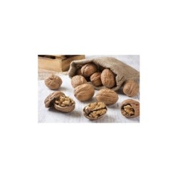 Doğal Köy Cevizi Kabuklu 1 Kg - Malatya Darende