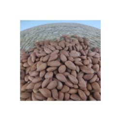 Malatya Darende Gün Kurusu Çekirdek 5 Kg | Doğal & Katkısız
