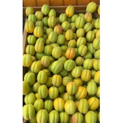 Yeni Mahsül Taze Yaş Kayısı 5 Kg | Sofralık Kayısı